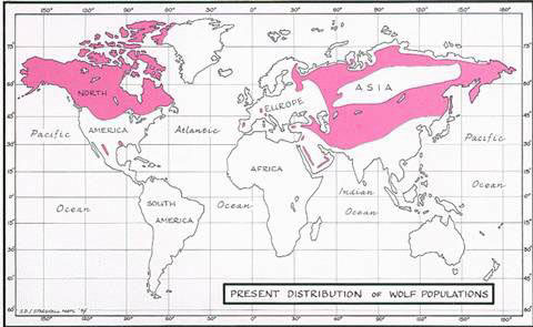 World map of wolf population